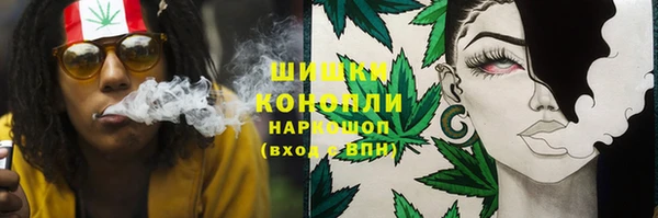 ПСИЛОЦИБИНОВЫЕ ГРИБЫ Белокуриха