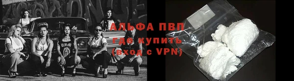 СК Пересвет