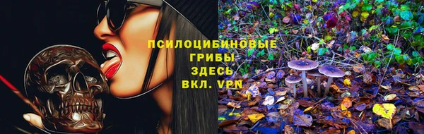 ПСИЛОЦИБИНОВЫЕ ГРИБЫ Белокуриха